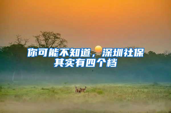 你可能不知道，深圳社保其实有四个档