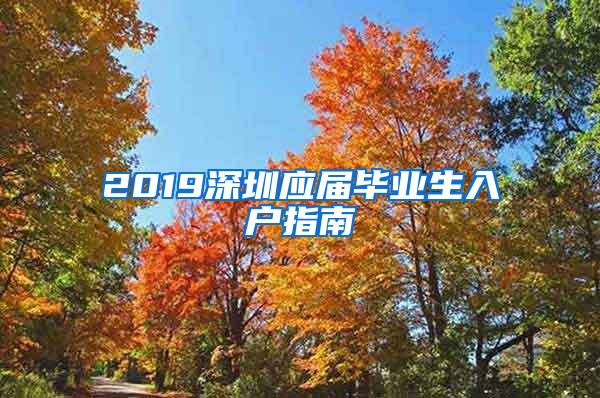 2019深圳应届毕业生入户指南