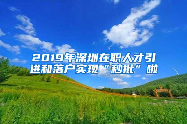 2019年深圳在职人才引进和落户实现“秒批”啦