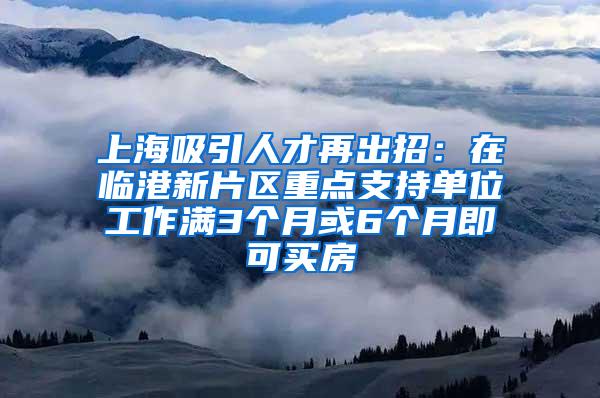 上海吸引人才再出招：在临港新片区重点支持单位工作满3个月或6个月即可买房