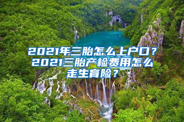 2021年三胎怎么上户口？2021三胎产检费用怎么走生育险？