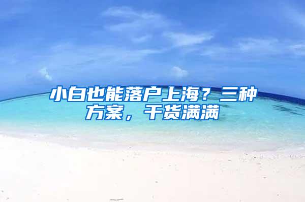 小白也能落户上海？三种方案，干货满满