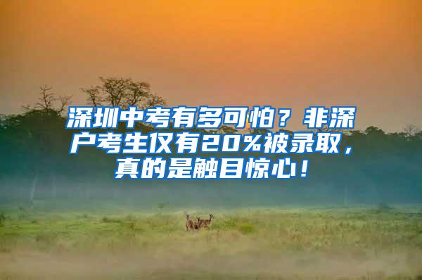 深圳中考有多可怕？非深户考生仅有20%被录取，真的是触目惊心！