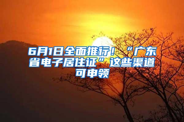 6月1日全面推行！“广东省电子居住证”这些渠道可申领