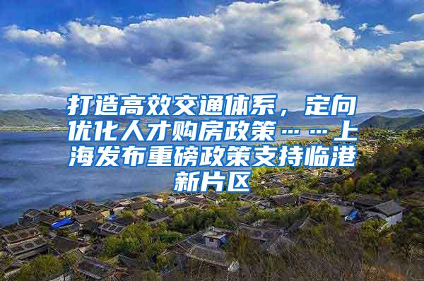 打造高效交通体系，定向优化人才购房政策……上海发布重磅政策支持临港新片区