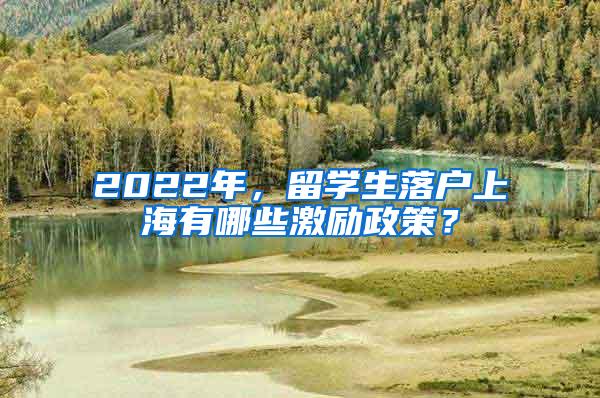 2022年，留学生落户上海有哪些激励政策？