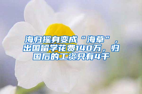 海归摇身变成“海草”，出国留学花费140万，归国后的工资只有4千