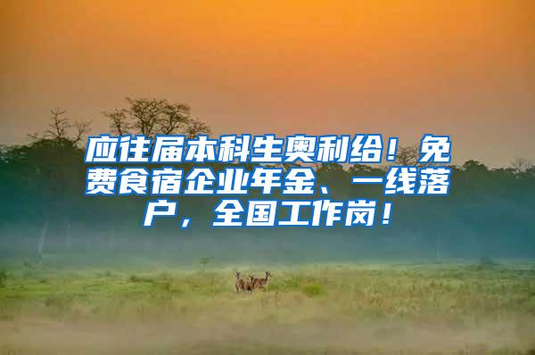 应往届本科生奥利给！免费食宿企业年金、一线落户，全国工作岗！