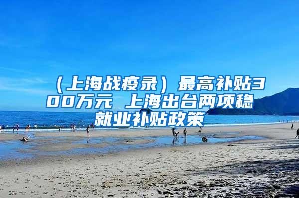 （上海战疫录）最高补贴300万元 上海出台两项稳就业补贴政策
