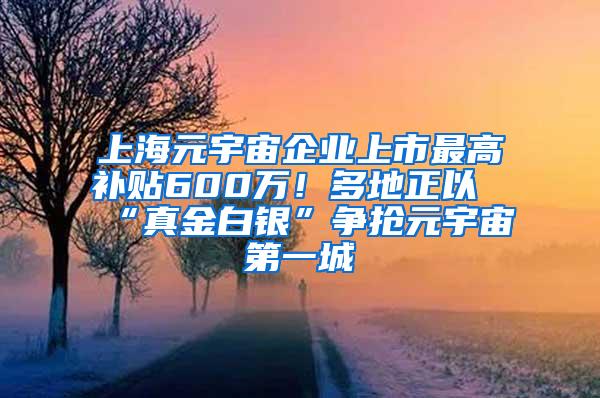 上海元宇宙企业上市最高补贴600万！多地正以“真金白银”争抢元宇宙第一城