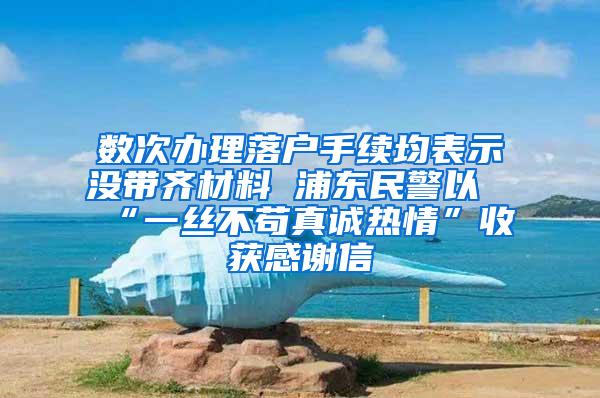 数次办理落户手续均表示没带齐材料 浦东民警以“一丝不苟真诚热情”收获感谢信