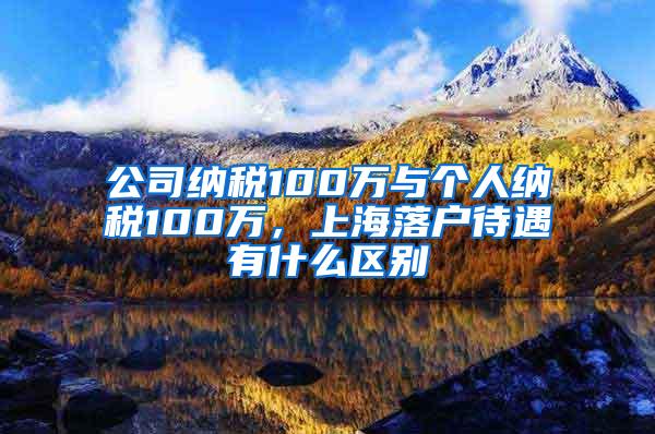 公司纳税100万与个人纳税100万，上海落户待遇有什么区别