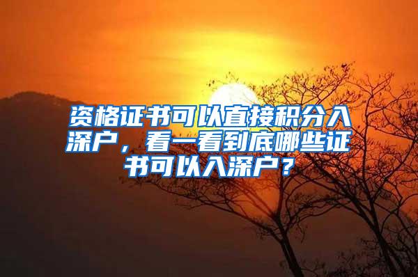 资格证书可以直接积分入深户，看一看到底哪些证书可以入深户？