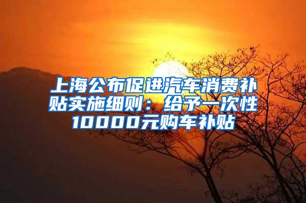 上海公布促进汽车消费补贴实施细则：给予一次性10000元购车补贴