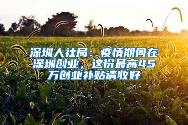 深圳人社局：疫情期间在深圳创业，这份最高45万创业补贴请收好