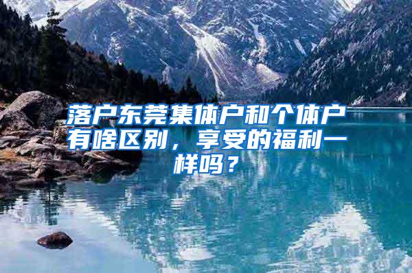 落户东莞集体户和个体户有啥区别，享受的福利一样吗？