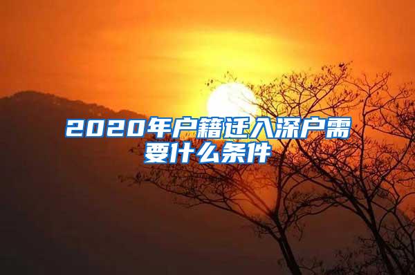 2020年户籍迁入深户需要什么条件