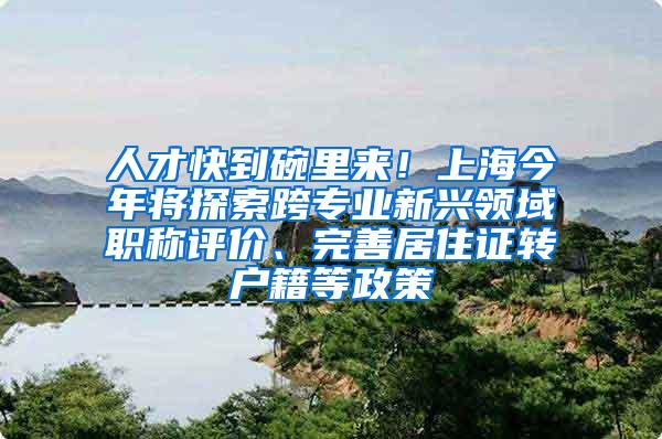 人才快到碗里来！上海今年将探索跨专业新兴领域职称评价、完善居住证转户籍等政策