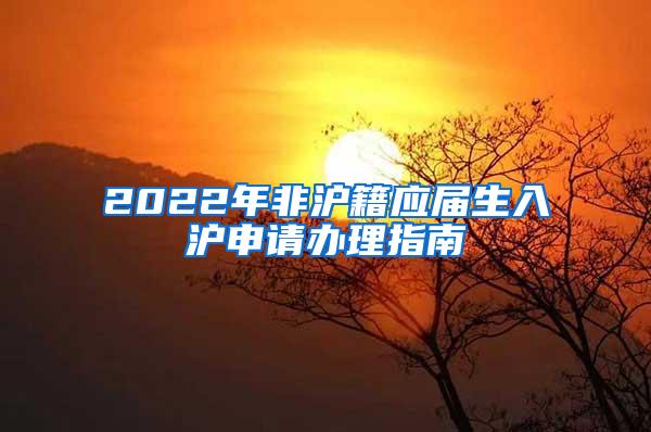 2022年非沪籍应届生入沪申请办理指南