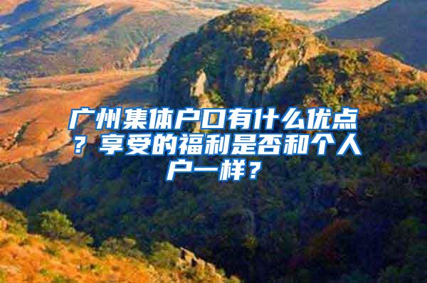 广州集体户口有什么优点？享受的福利是否和个人户一样？