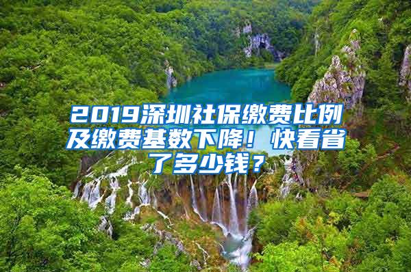 2019深圳社保缴费比例及缴费基数下降！快看省了多少钱？