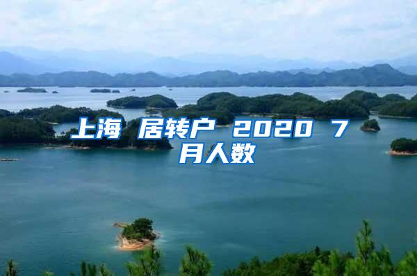 上海 居转户 2020 7 月人数