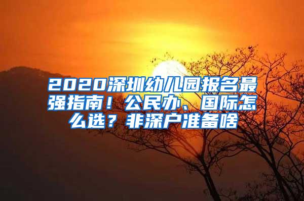 2020深圳幼儿园报名最强指南！公民办、国际怎么选？非深户准备啥