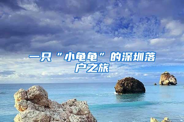 一只“小龟龟”的深圳落户之旅