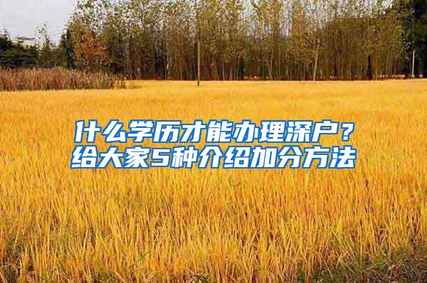 什么学历才能办理深户？给大家5种介绍加分方法
