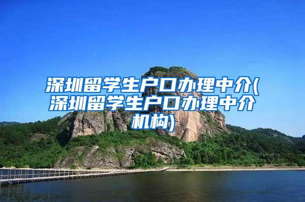 深圳留学生户口办理中介(深圳留学生户口办理中介机构)
