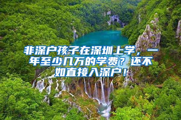 非深户孩子在深圳上学，一年至少几万的学费？还不如直接入深户！