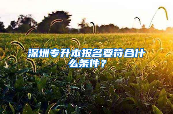 深圳专升本报名要符合什么条件？