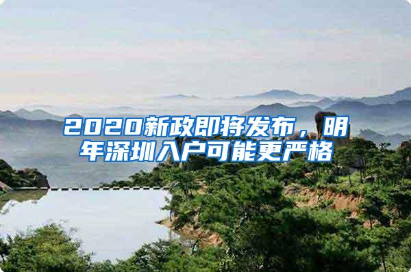 2020新政即将发布，明年深圳入户可能更严格