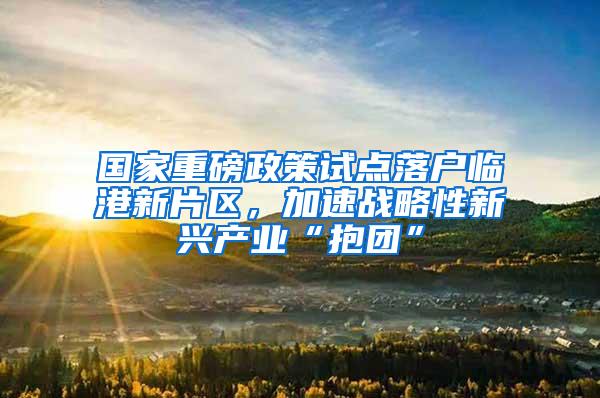 国家重磅政策试点落户临港新片区，加速战略性新兴产业“抱团”