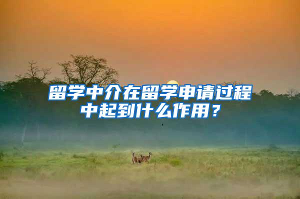 留学中介在留学申请过程中起到什么作用？