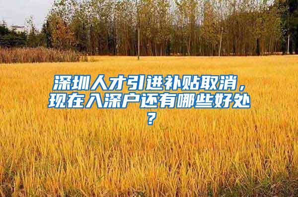 深圳人才引进补贴取消，现在入深户还有哪些好处？