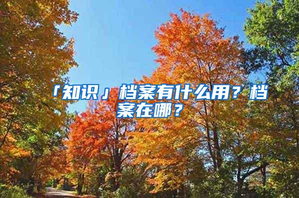 「知识」档案有什么用？档案在哪？