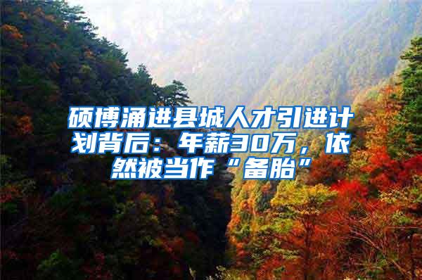 硕博涌进县城人才引进计划背后：年薪30万，依然被当作“备胎”