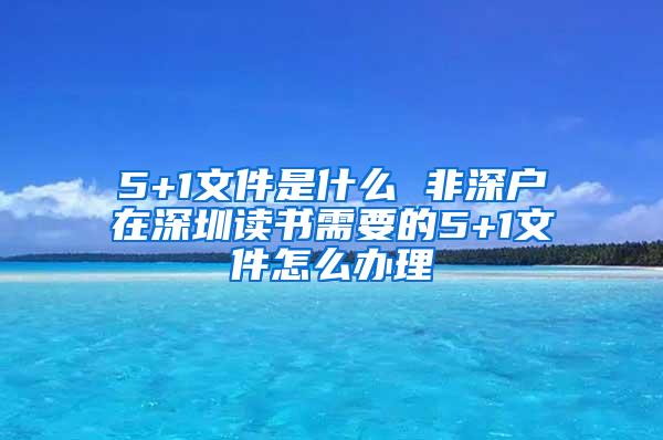 5+1文件是什么 非深户在深圳读书需要的5+1文件怎么办理