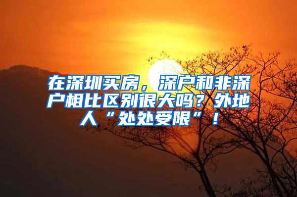 在深圳买房，深户和非深户相比区别很大吗？外地人“处处受限”！