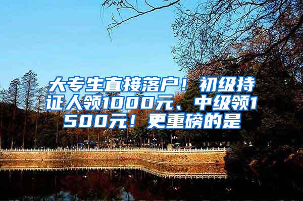 大专生直接落户！初级持证人领1000元、中级领1500元！更重磅的是