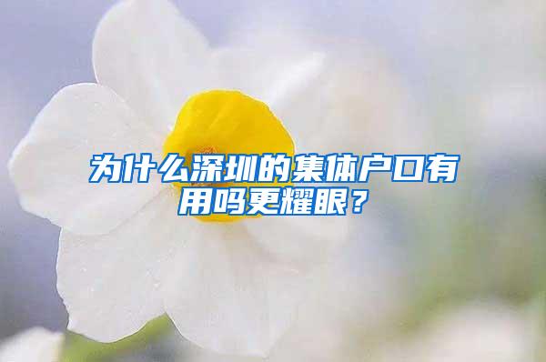 为什么深圳的集体户口有用吗更耀眼？