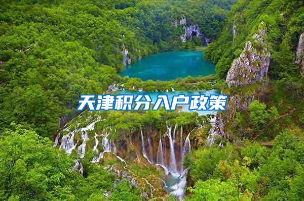 天津积分入户政策