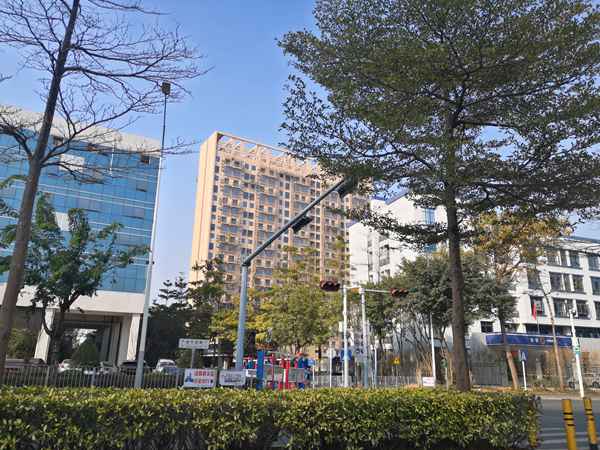 广州集体户口怎样转个人户口