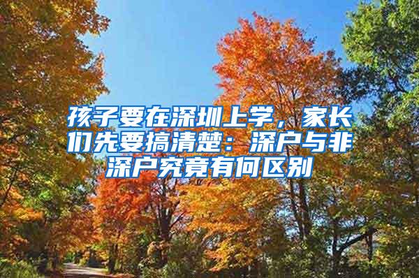 孩子要在深圳上学，家长们先要搞清楚：深户与非深户究竟有何区别