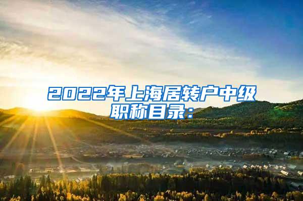 2022年上海居转户中级职称目录：
