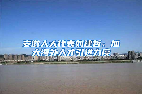 安徽人大代表刘建哲：加大海外人才引进力度