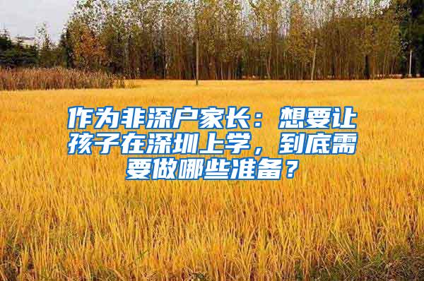 作为非深户家长：想要让孩子在深圳上学，到底需要做哪些准备？