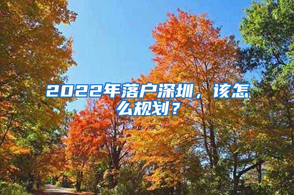 2022年落户深圳，该怎么规划？