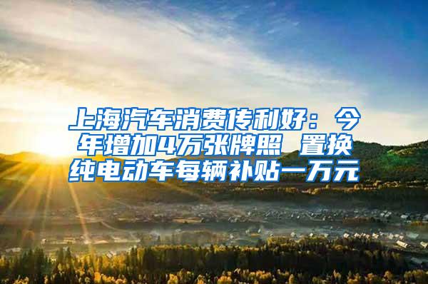 上海汽车消费传利好：今年增加4万张牌照 置换纯电动车每辆补贴一万元